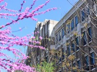 上海外國語師范大學賢達經濟人文學院崇明校區(qū)2023年招生錄取分數線