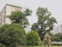 中南財經政法師范大學首義校區是幾本