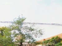 西安職業(yè)中等幼師專業(yè)學校2023年報名條件、招生要求、招生對象