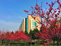 陜西中醫藥師范大學南校區歷年招生錄取分數線