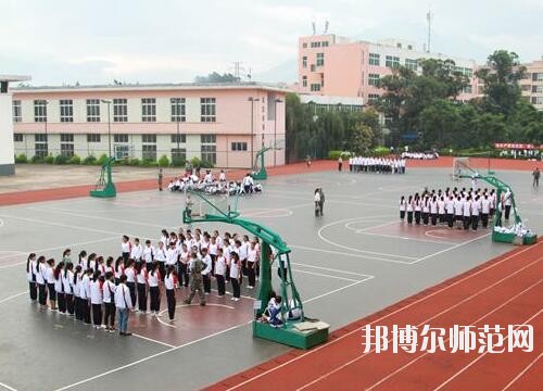 師范網5