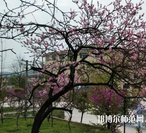 貴陽中華幼師職業(yè)學校2023年怎么樣、好不好
