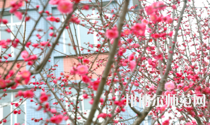 德陽通用電子科技幼兒師范學校2020年有哪些專業