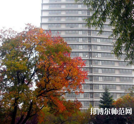 南京市2020年設(shè)有幼師學校的公辦大專學校