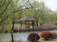 應天職業(yè)技術(shù)師范學院2023年招生代碼