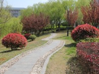應天職業(yè)技術(shù)師范學院是2023年幾專