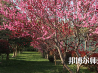 河南科技職業師范大學2023年怎么樣、好不好