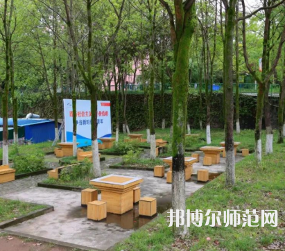 重慶安全技術幼兒師范職業學院2023年有哪些專業 