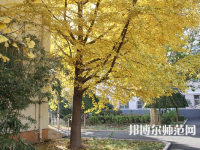 北京京北職業(yè)師范技術(shù)學(xué)院2023年報(bào)名條件、招生要求、招生對(duì)象