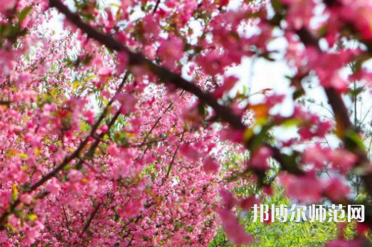 鄭州大學師范學院主校區(qū)2023年報名條件、招生要求、招生對象