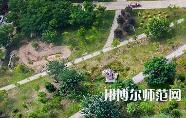 陜西國際商貿師范學院2023年報名條件、招生要求、招生對象
