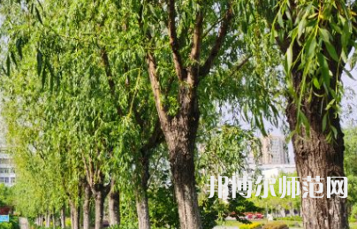 南陽理工師范學(xué)院2023年報(bào)名條件、招生要求、招生對(duì)象