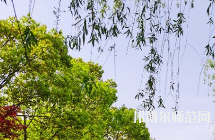 南陽理工師范學(xué)院2023年報(bào)名條件、招生要求、招生對(duì)象