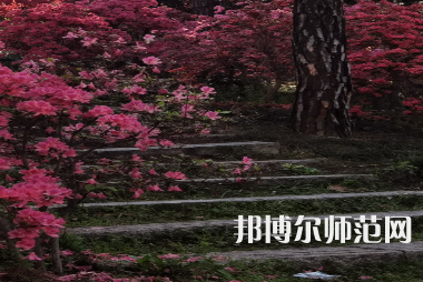 信陽(yáng)師范學(xué)院華銳學(xué)院2023年報(bào)名條件、招生要求、招生對(duì)象