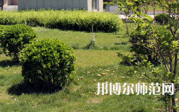 安陽幼兒師范高等專科學(xué)校歷年招生錄取分?jǐn)?shù)線