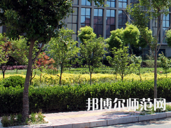 安陽幼兒師范高等?？茖W(xué)校2023年有哪些專業(yè)
