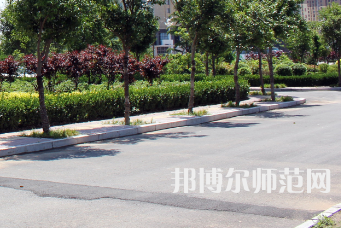 安陽幼兒師范高等?？茖W(xué)校2023年有哪些專業(yè)