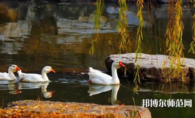 山東財(cái)經(jīng)師范大學(xué)萊蕪校區(qū)2023年報(bào)名條件、招生要求、招生對(duì)象 