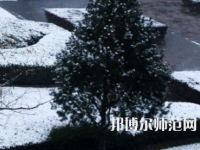 焦作師范高等?？茖W校2023年報名條件、招生要求、招生對象