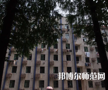 安徽大學師范學院龍河校區2023年有哪些專業