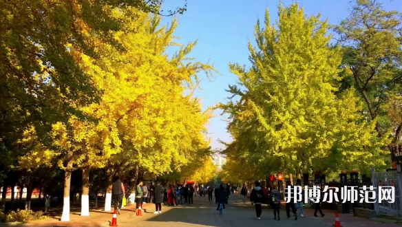 遼寧大學(xué)師范學(xué)院崇山校區(qū)2023年報(bào)名條件、招生要求、招生對(duì)象