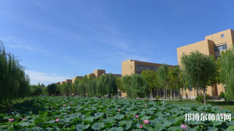 東營職業(yè)師范學(xué)院2023年報(bào)名條件、招生要求、招生對(duì)象 