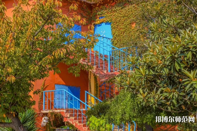 青島科技師范大學(xué)高密校區(qū)2023年報名條件、招生要求、招生對象 