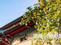 湖南大學師范學院財院校區2023年招生代碼
