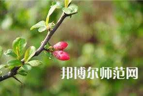 西安幼兒師范職業(yè)學(xué)校2023年學(xué)費、收費多少