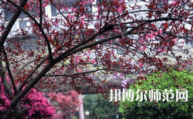 湖南第一師范學院城南書院校區(qū)2023年怎么樣、好不好