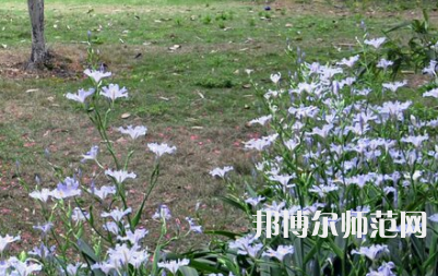 湖南第一師范學院城南書院校區(qū)2023年怎么樣、好不好