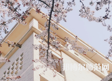 湖南第一師范學院東方紅校區2023年有哪些專業