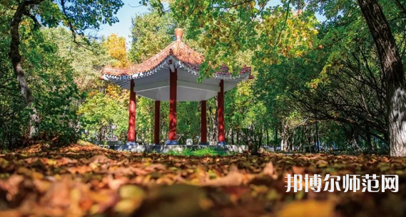 黑龍江師范大學(xué)2023年報名條件、招生要求、招生對象 