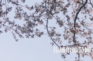 湖南第一師范學院東方紅校區2023年排名
