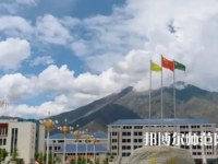 拉薩師范高等?？茖W校2023年招生代碼