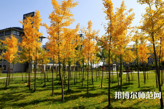 瀘州啟明幼師職業技術學校2023年報名條件、招生要求、招生對象