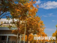 南京師范大學泰州學院2023年報名條件、招生要求、招生對象