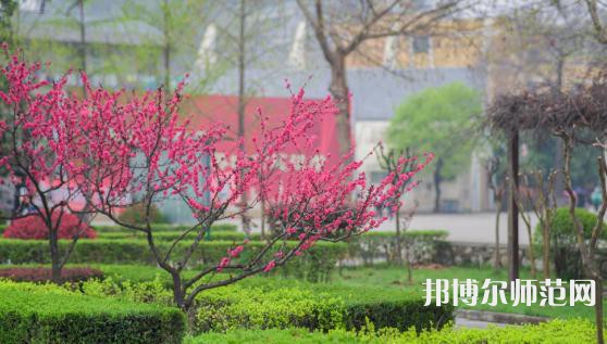 西安城市建設(shè)師范職業(yè)學院2023年招生錄取分數(shù)線
