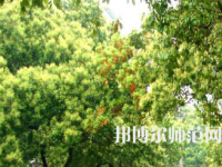 衡陽師范學院南岳學院2023年怎么樣、好不好