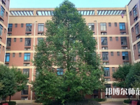 四川師范大學成都學院眉山校區(qū)2023年怎么樣、好不好
