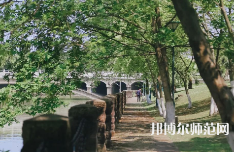 四川大學師范學院江安校區2023年有哪些專業