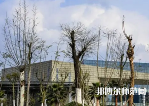 2023年川南幼兒師范高等?？茖W校環境如何