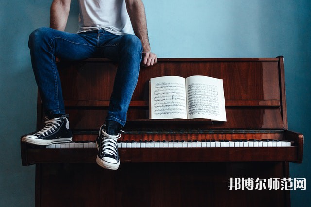 渭南公辦藝術(shù)教育學校有哪些 渭南公辦藝術(shù)教育學校名單一覽表